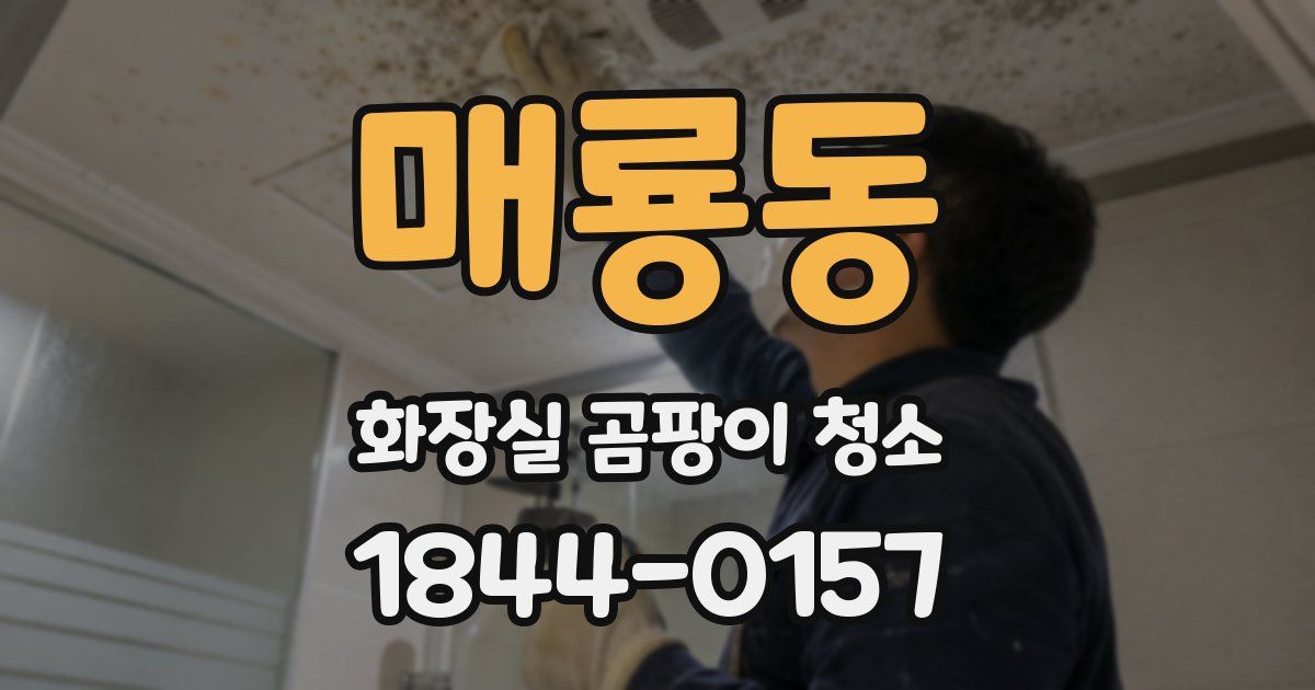 매룡동 화장실 곰팡이 청소