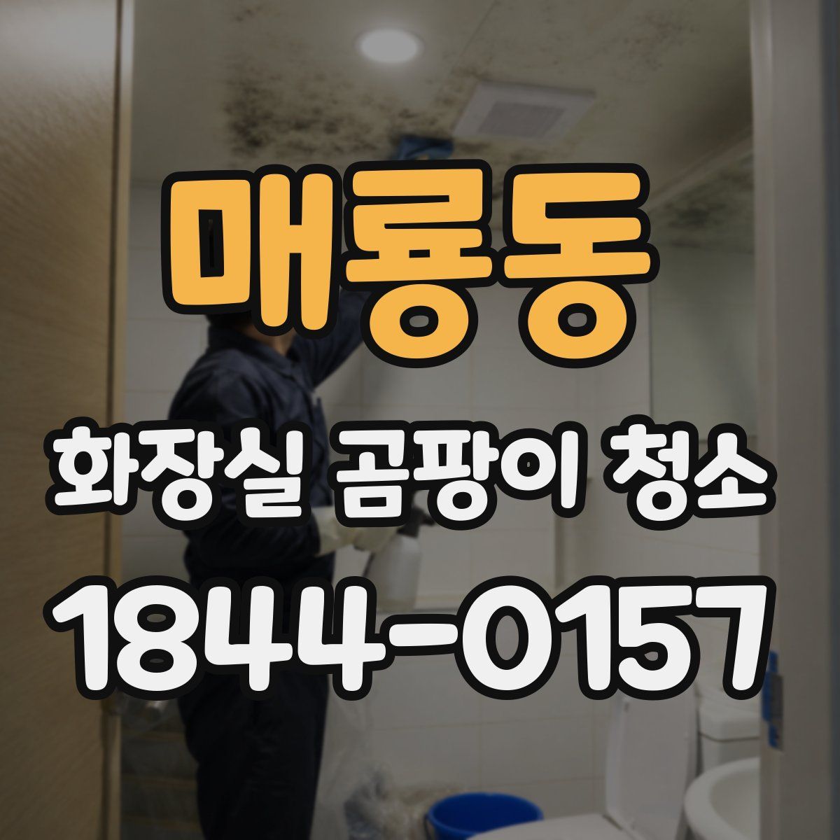 매룡동 화장실 곰팡이 청소