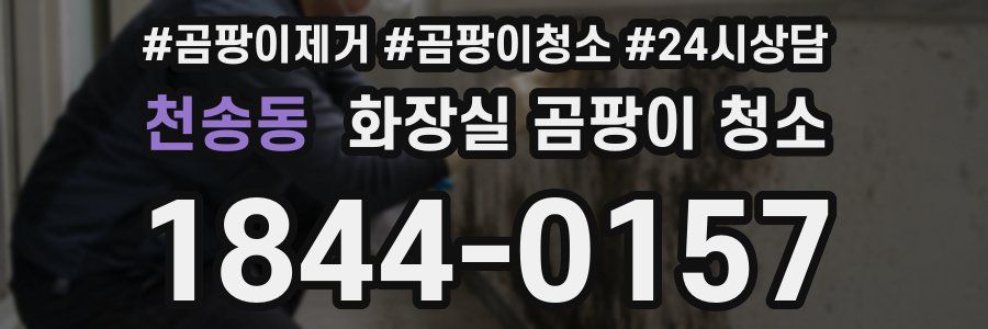 천송동 화장실 곰팡이 청소