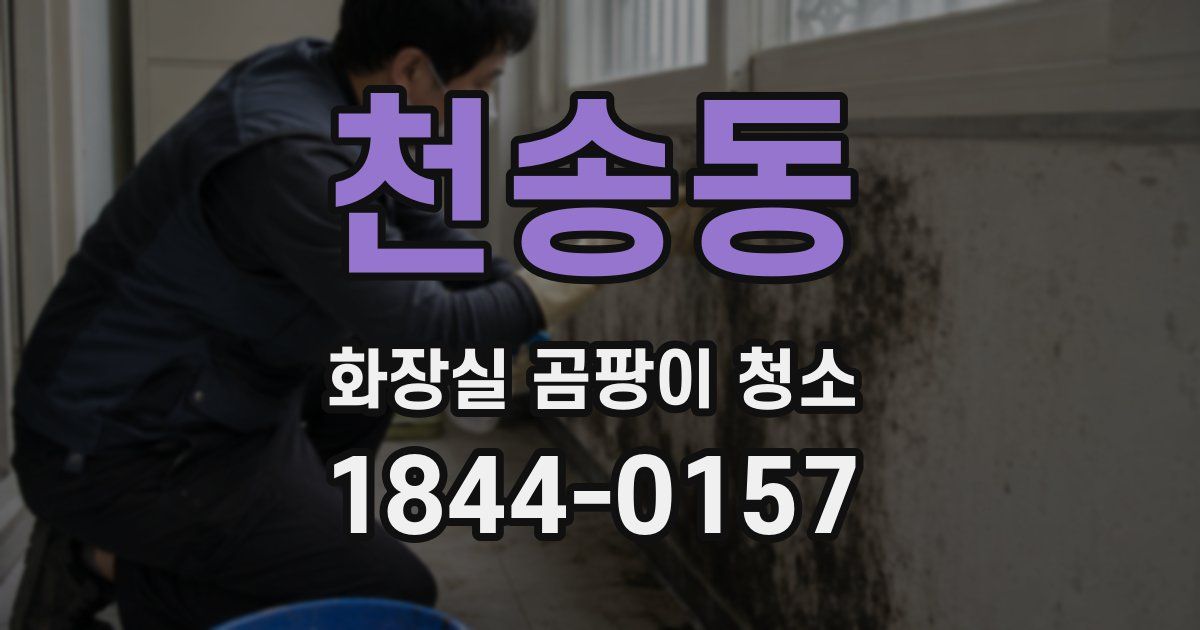 천송동 화장실 곰팡이 청소