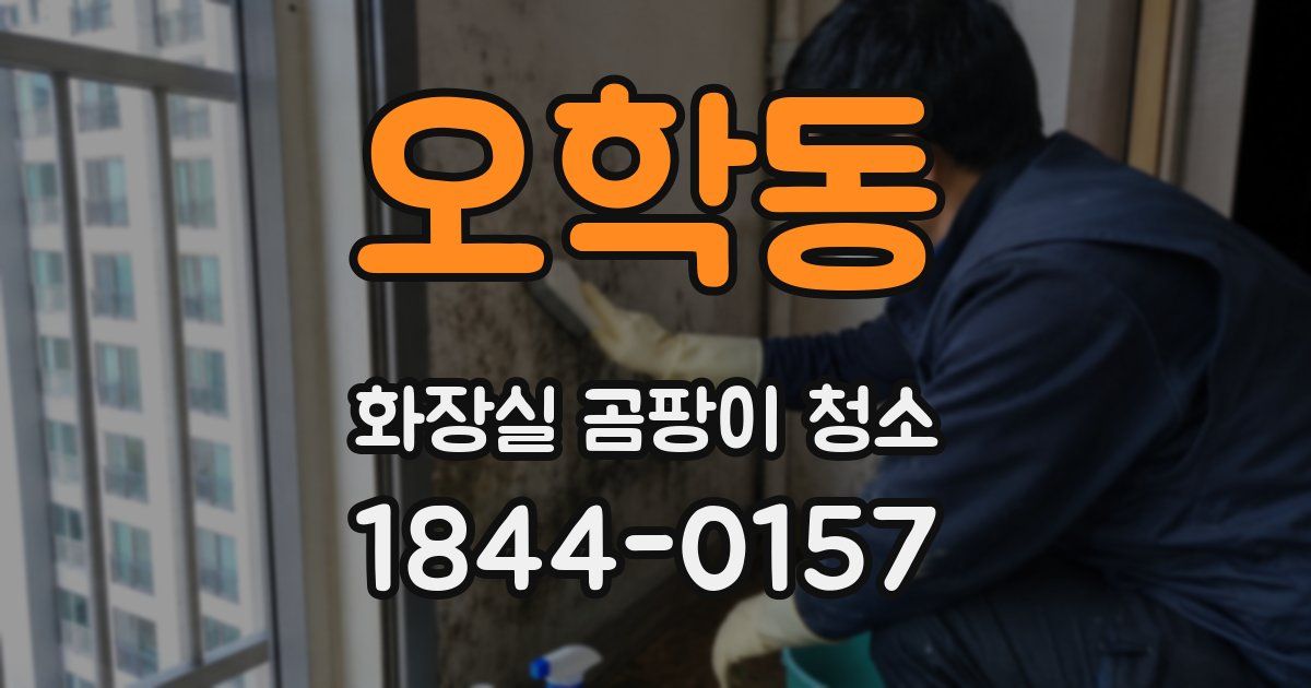 오학동 화장실 곰팡이 청소