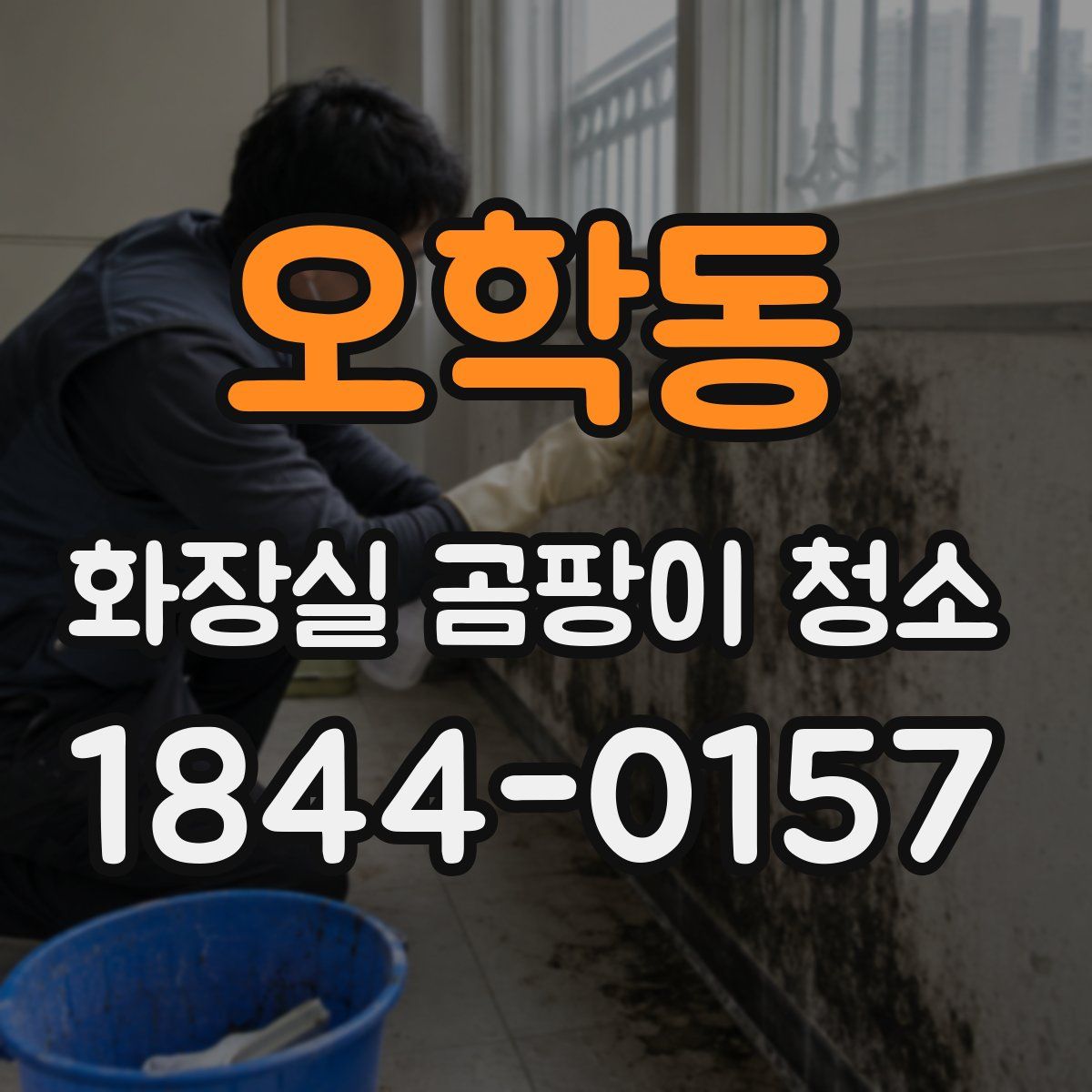 오학동 화장실 곰팡이 청소