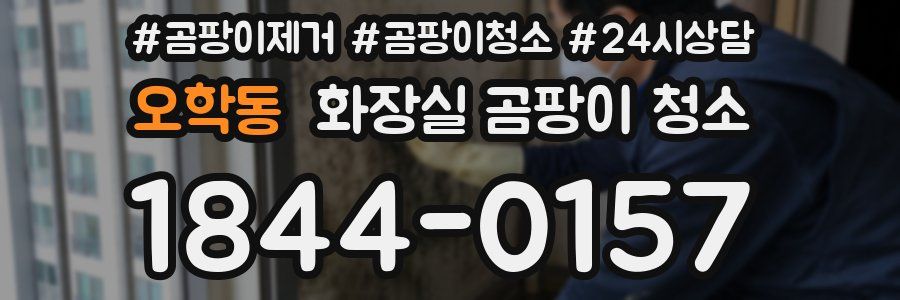오학동 화장실 곰팡이 청소