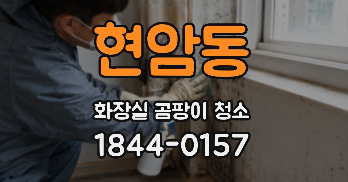 현암동 화장실 곰팡이 청소