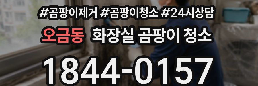오금동 화장실 곰팡이 청소