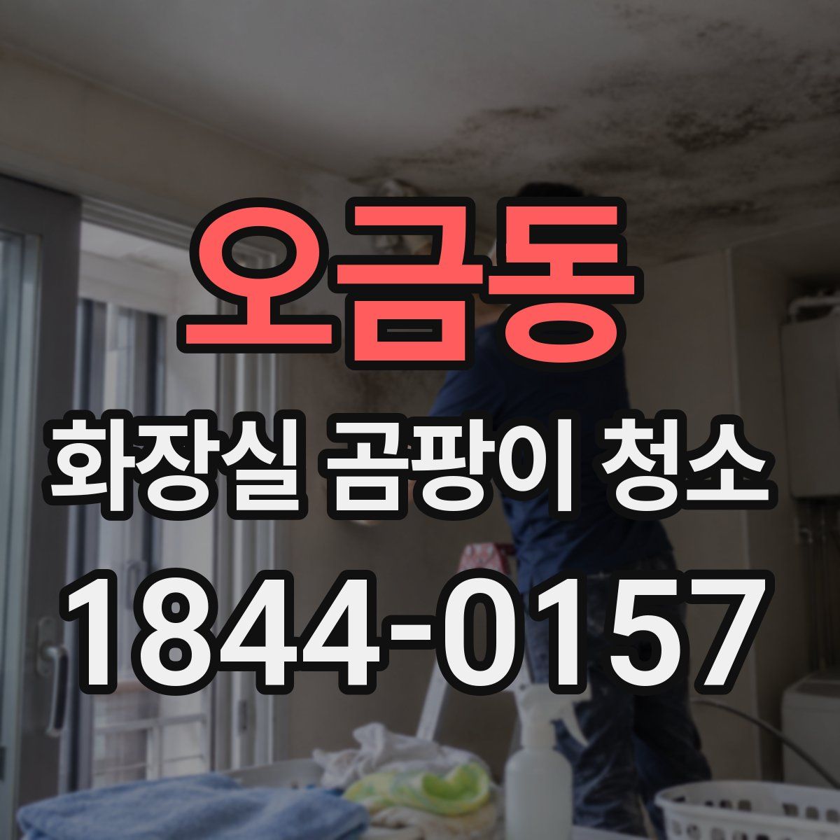 오금동 화장실 곰팡이 청소