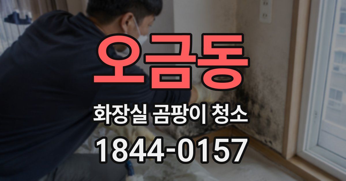 오금동 화장실 곰팡이 청소