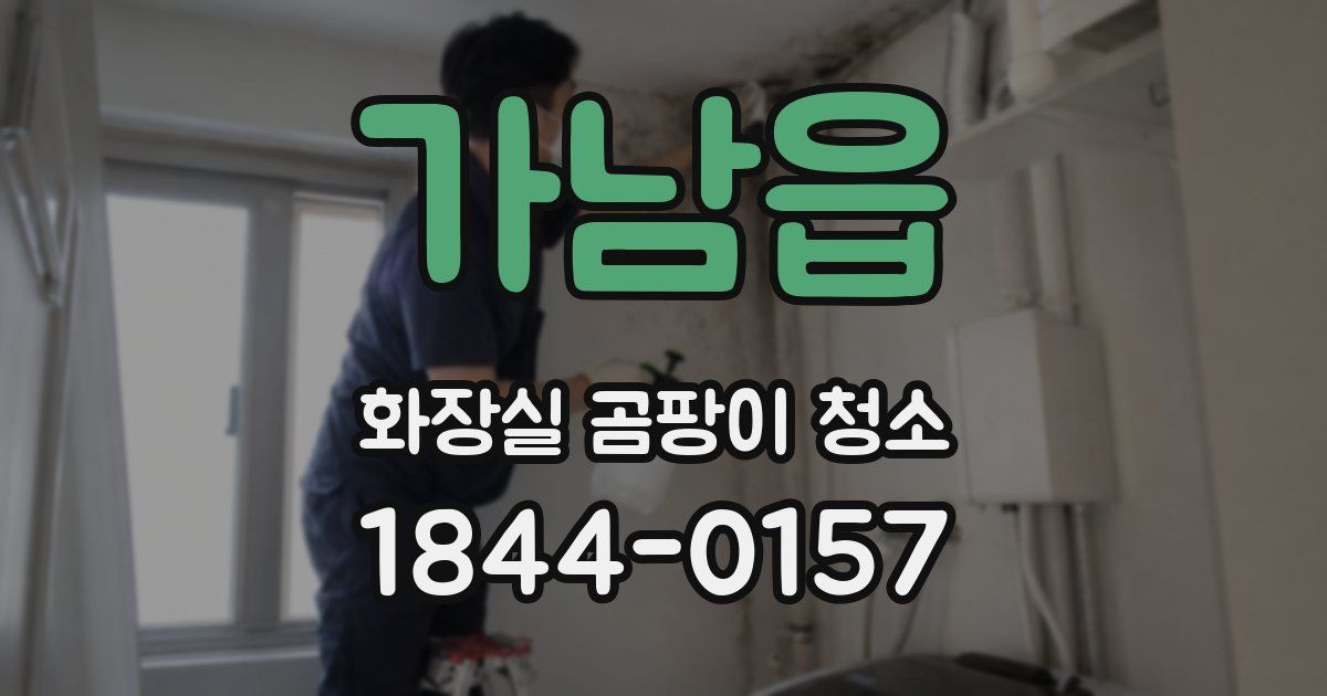 가남읍 화장실 곰팡이 청소