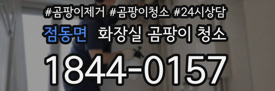 점동면 화장실 곰팡이 청소