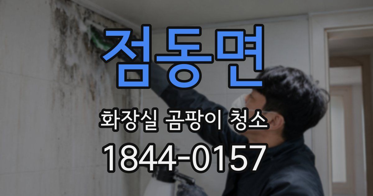 점동면 화장실 곰팡이 청소