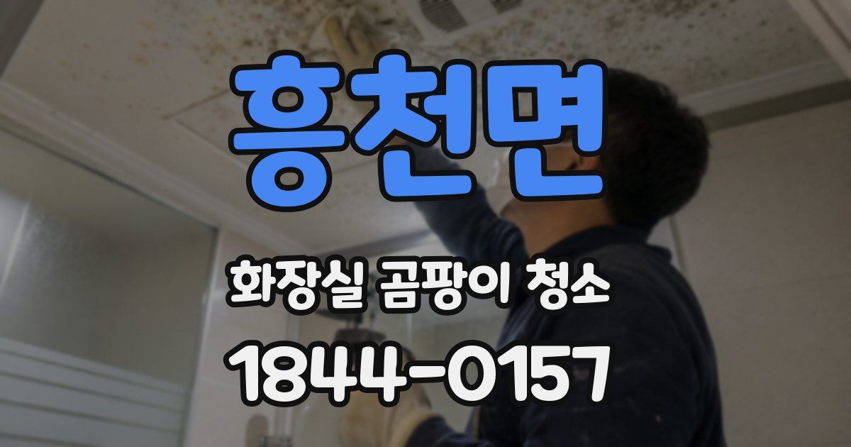 흥천면 화장실 곰팡이 청소