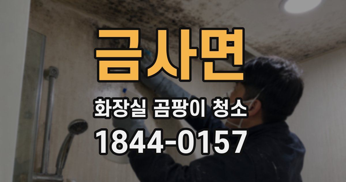 금사면 화장실 곰팡이 청소