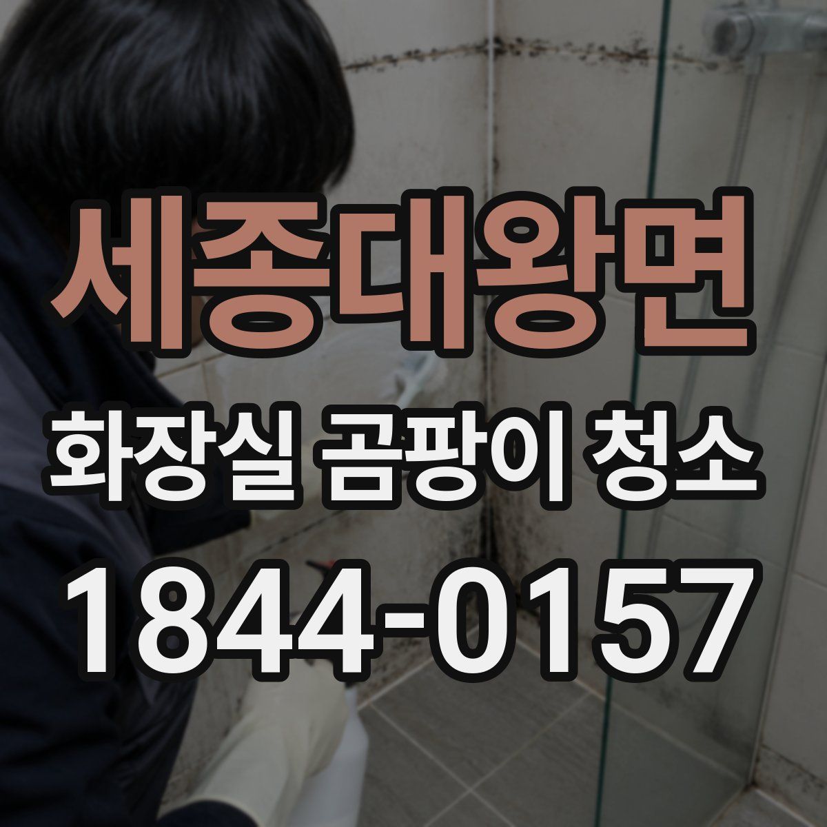 세종대왕면 화장실 곰팡이 청소