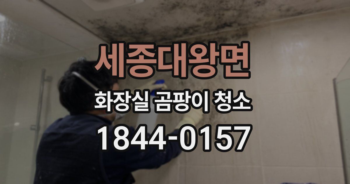 세종대왕면 화장실 곰팡이 청소