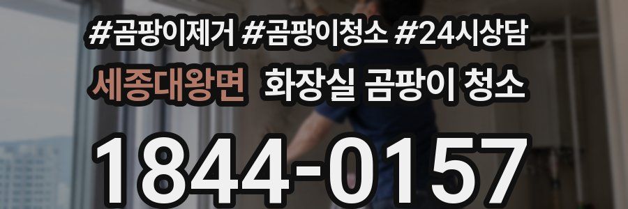 세종대왕면 화장실 곰팡이 청소