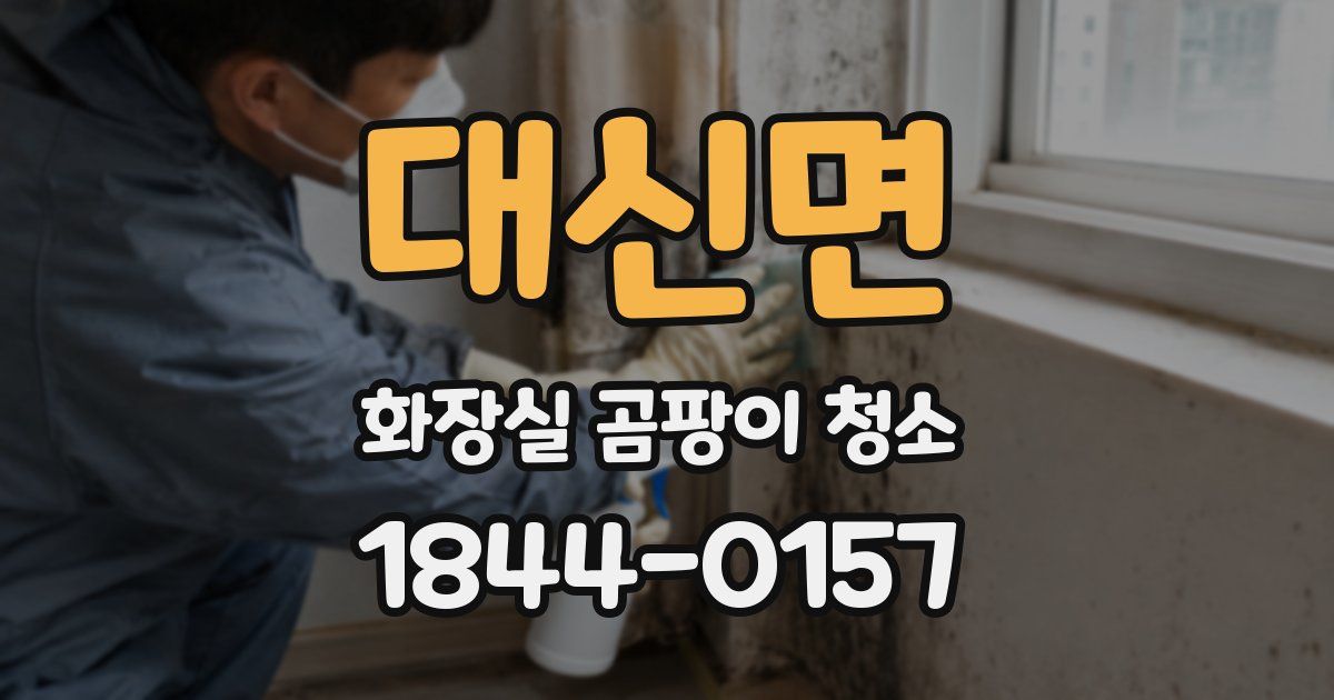 대신면 화장실 곰팡이 청소