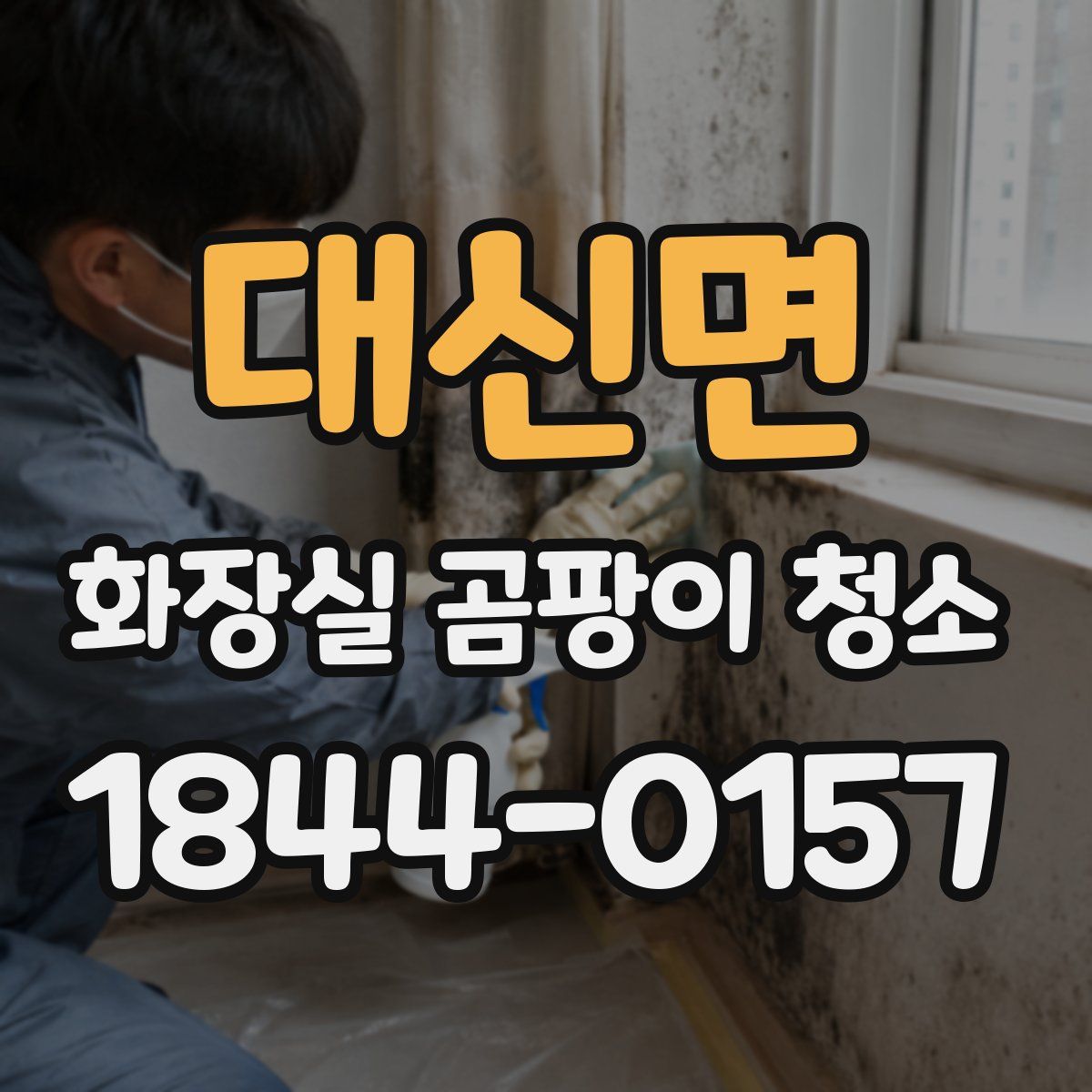 대신면 화장실 곰팡이 청소