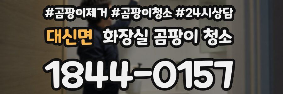 대신면 화장실 곰팡이 청소