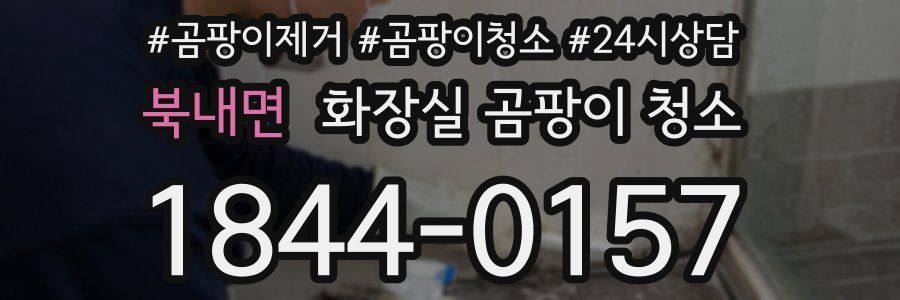 북내면 화장실 곰팡이 청소