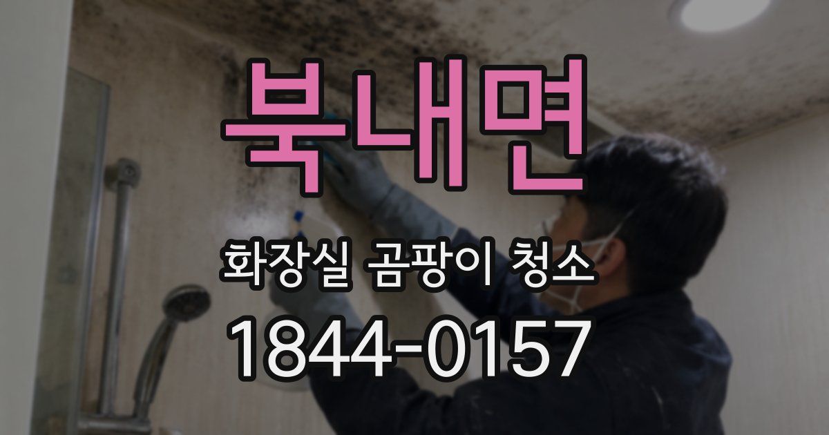 북내면 화장실 곰팡이 청소
