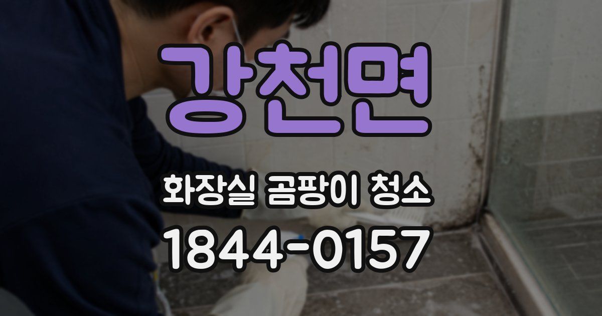 강천면 화장실 곰팡이 청소