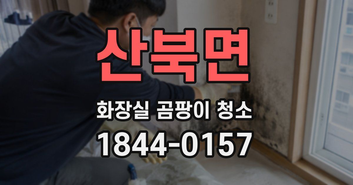 산북면 화장실 곰팡이 청소