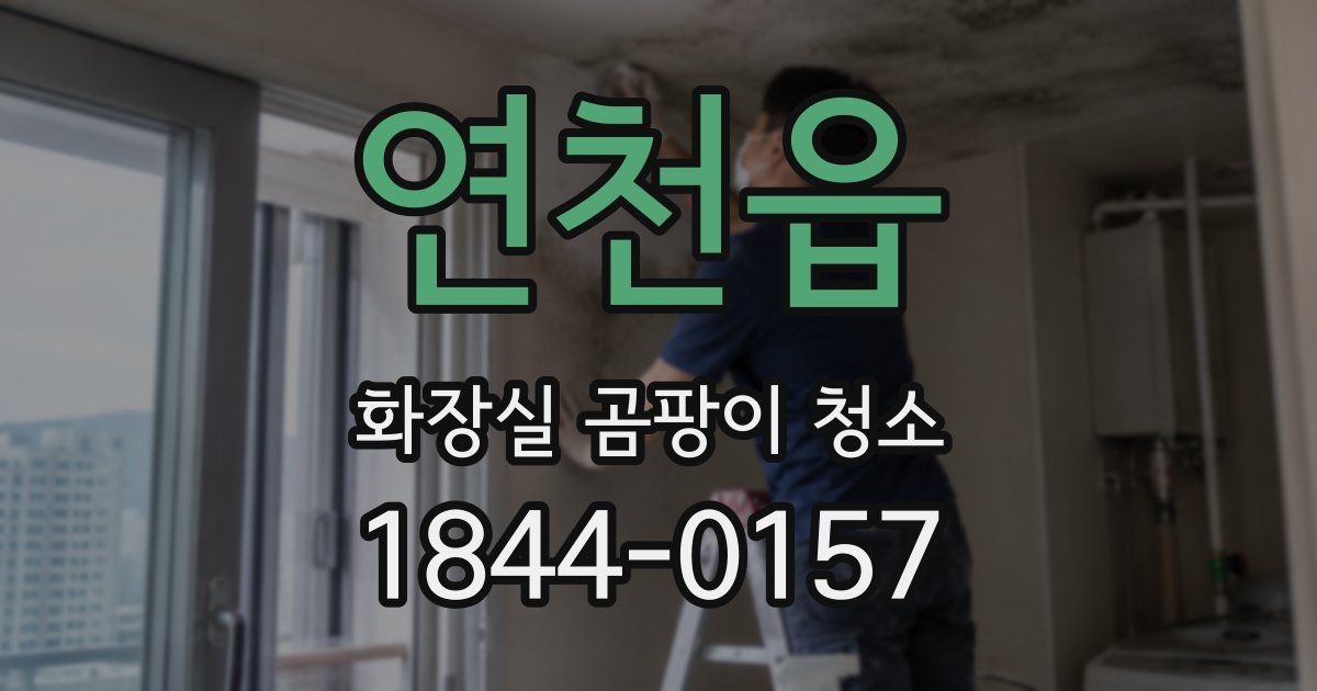 연천읍 화장실 곰팡이 청소