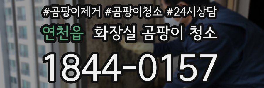 연천읍 화장실 곰팡이 청소