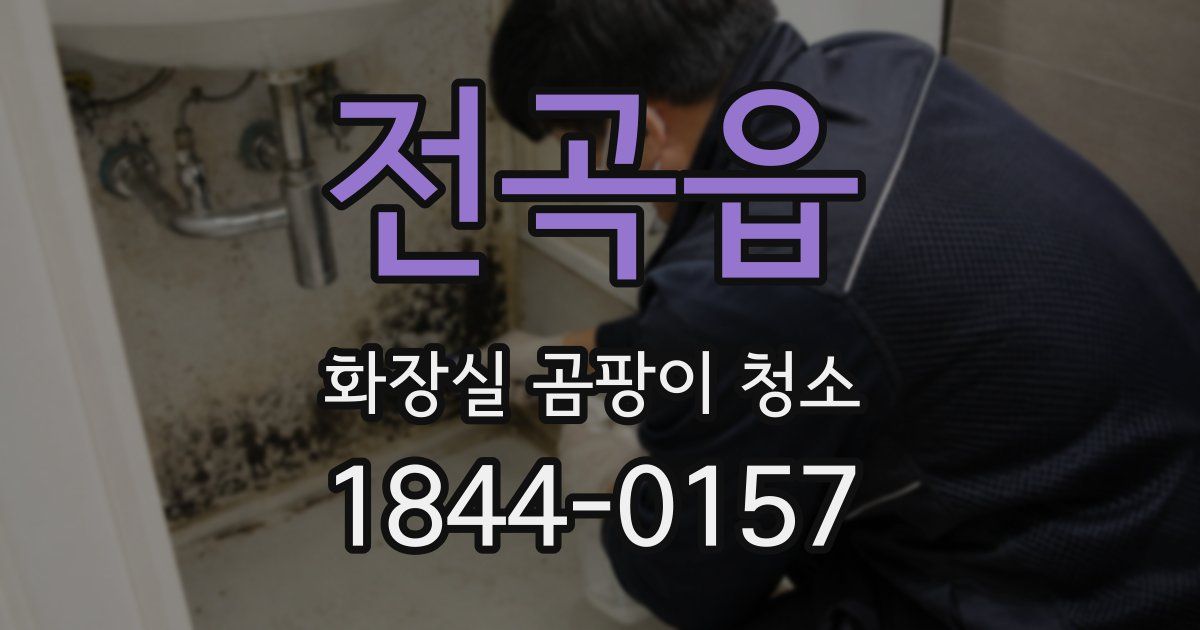 전곡읍 화장실 곰팡이 청소