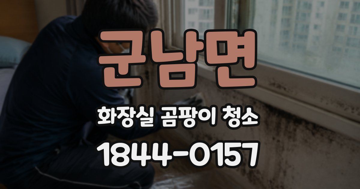 군남면 화장실 곰팡이 청소