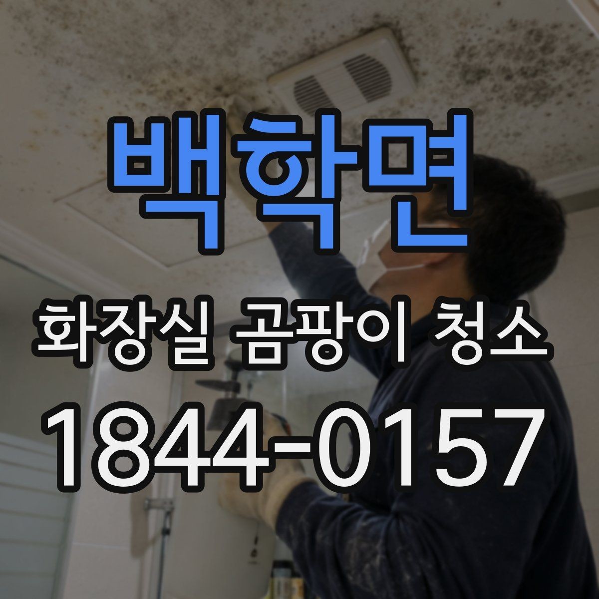 백학면 화장실 곰팡이 청소 자주 젖는 샤워 공간을 먼저 정리하는 이유