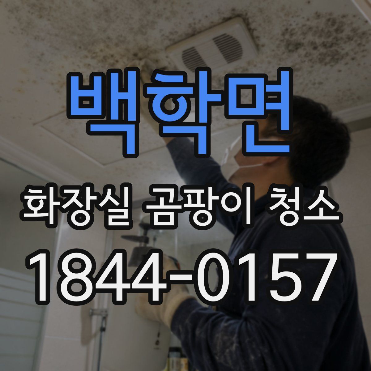 백학면 화장실 곰팡이 청소