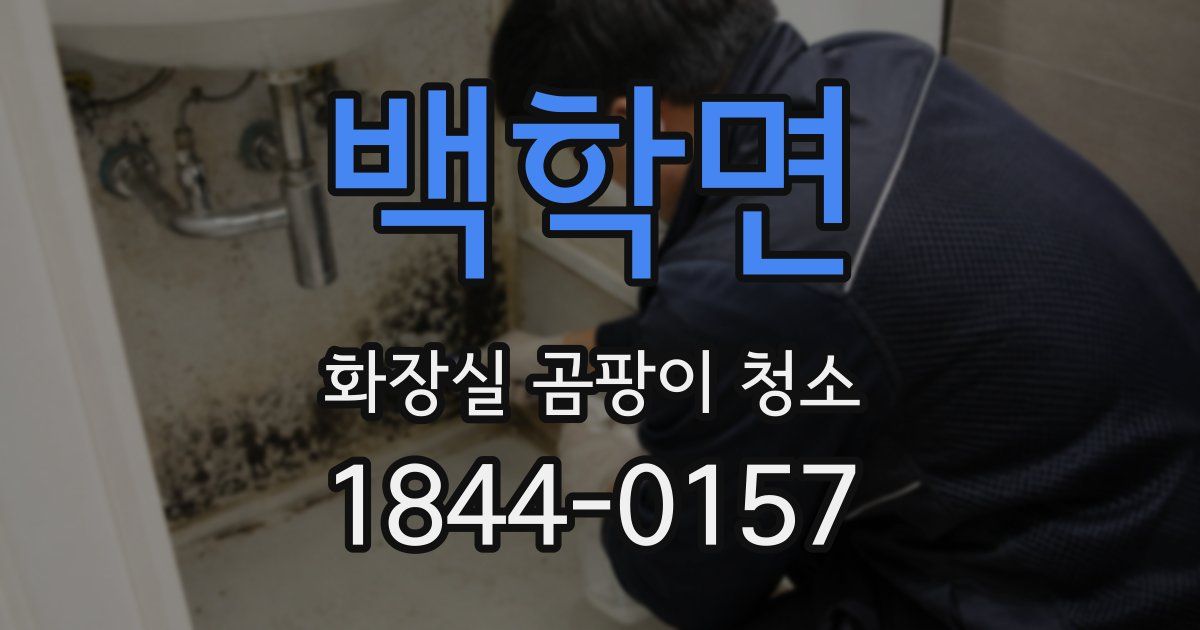 백학면 화장실 곰팡이 청소