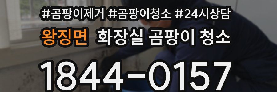 왕징면 화장실 곰팡이 청소