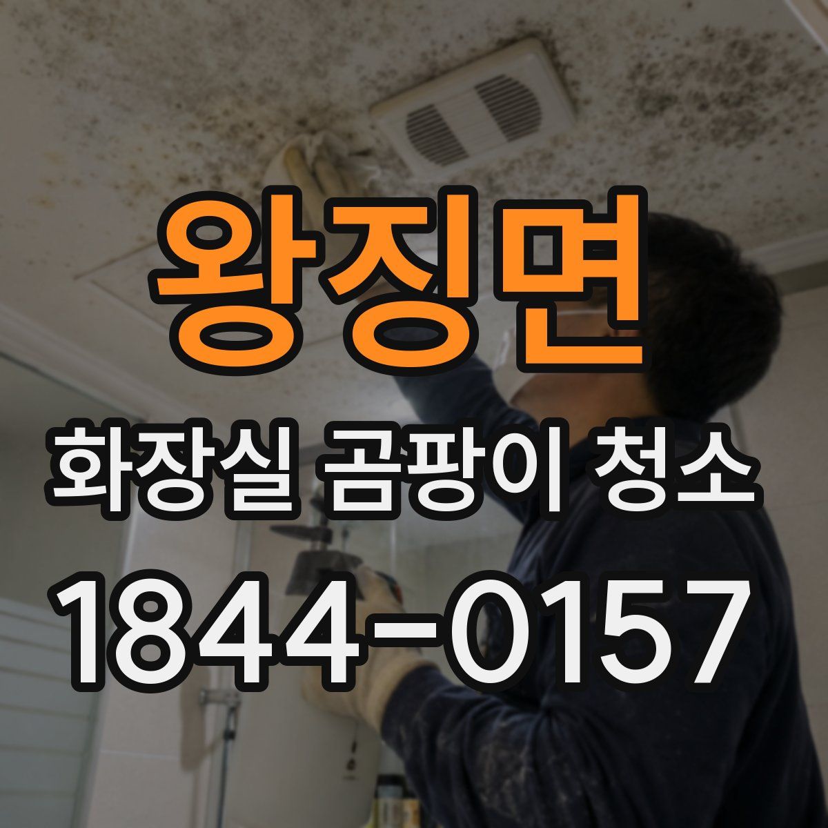 왕징면 화장실 곰팡이 청소