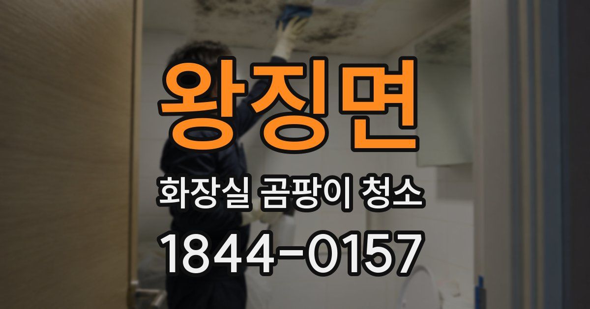왕징면 화장실 곰팡이 청소