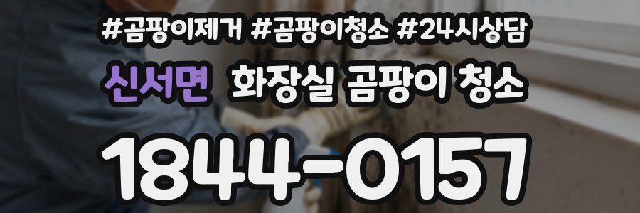 신서면 화장실 곰팡이 청소