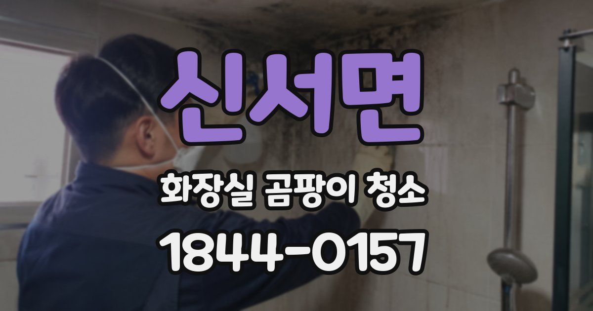 신서면 화장실 곰팡이 청소
