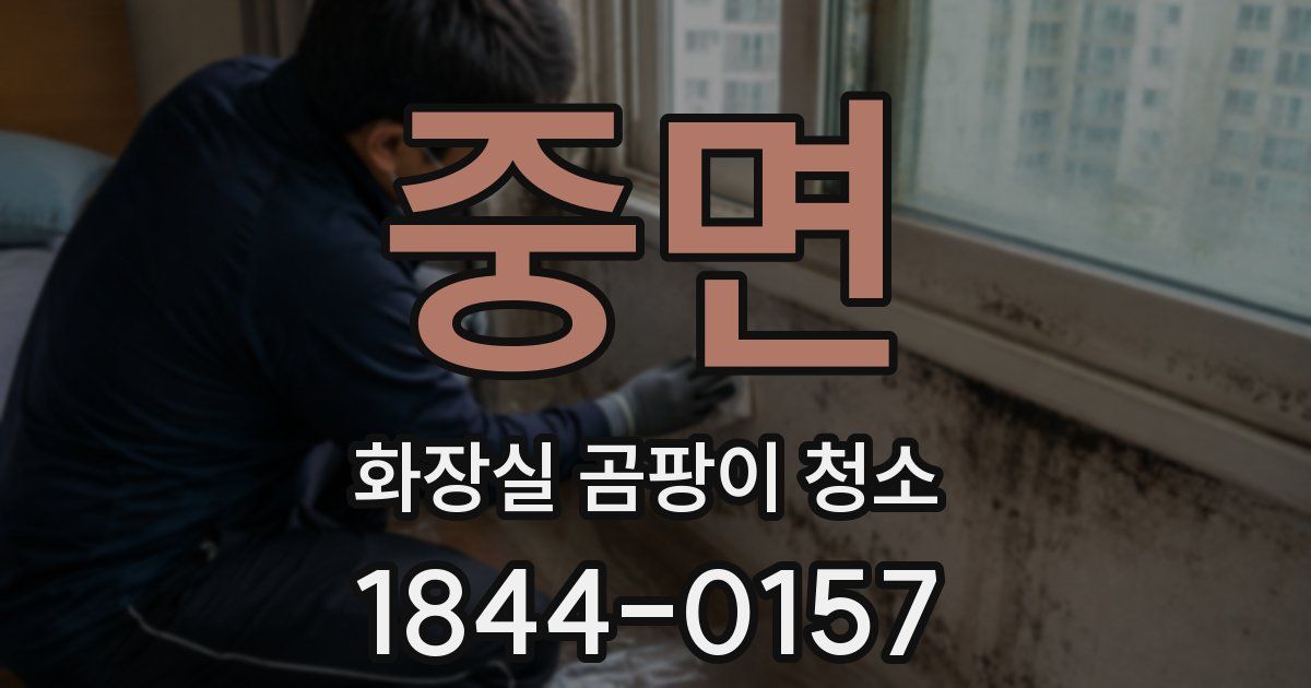 중면 화장실 곰팡이 청소