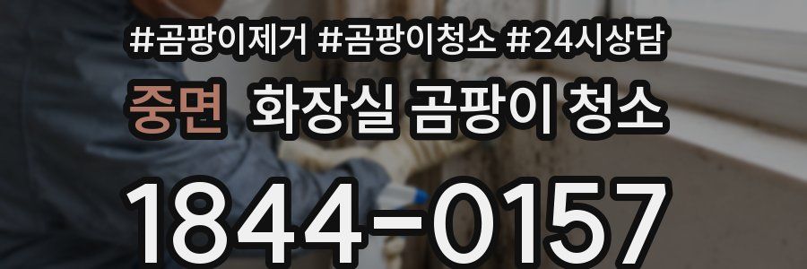 중면 화장실 곰팡이 청소