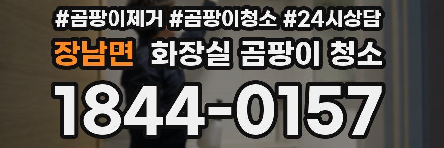 장남면 화장실 곰팡이 청소
