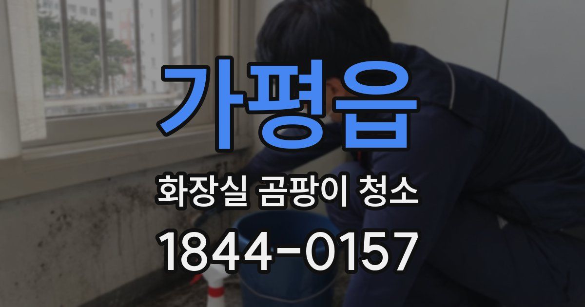 가평읍 화장실 곰팡이 청소