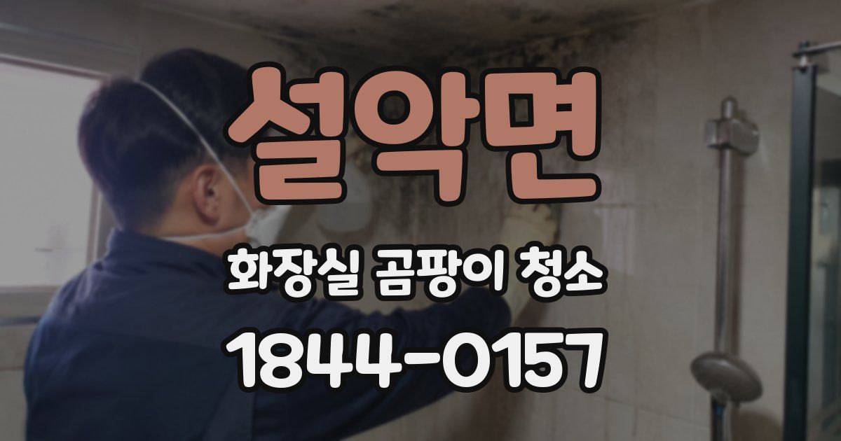 설악면 화장실 곰팡이 청소
