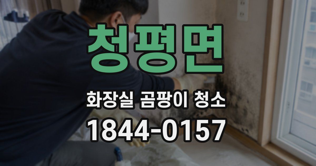 청평면 화장실 곰팡이 청소