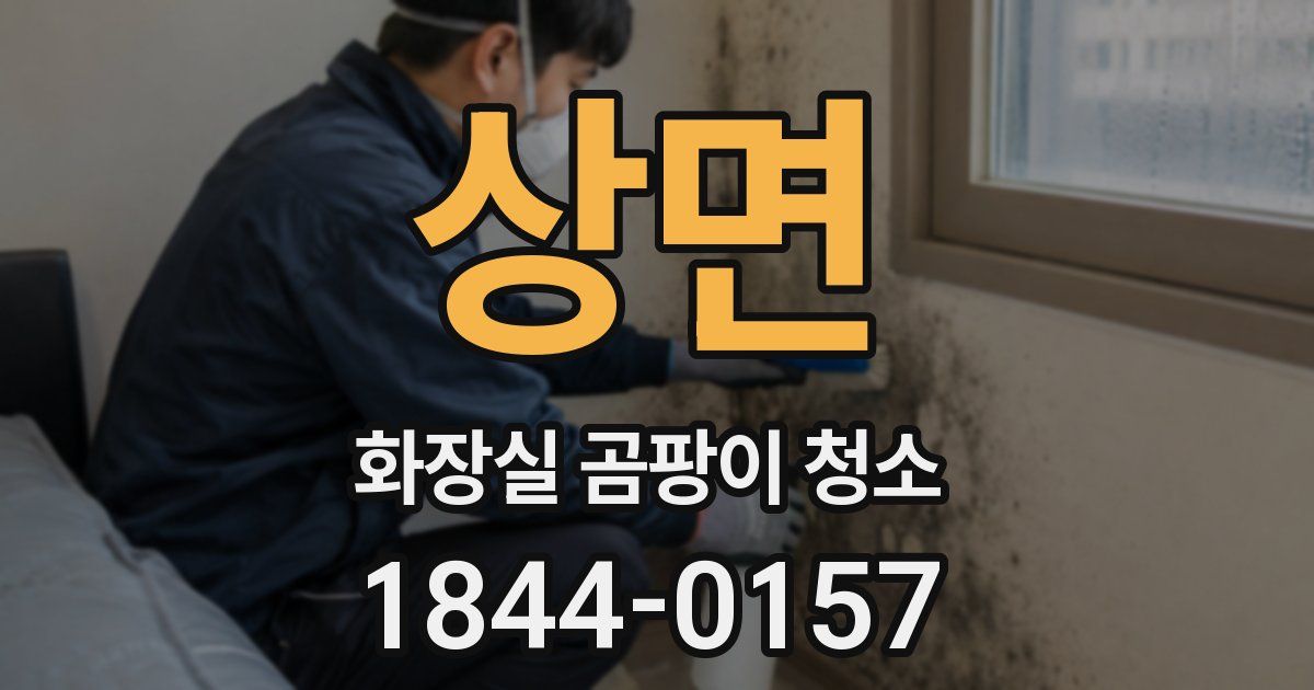 상면 화장실 곰팡이 청소