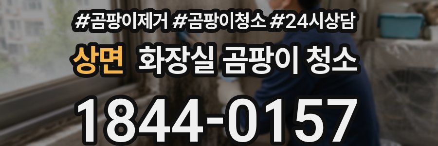 상면 화장실 곰팡이 청소