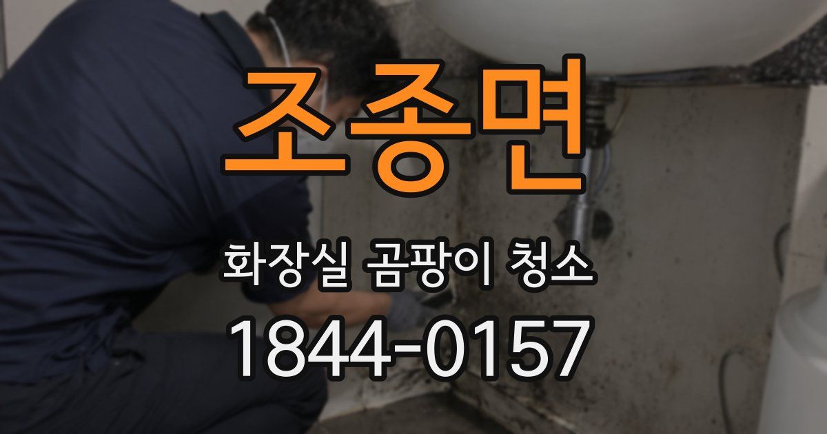 조종면 화장실 곰팡이 청소
