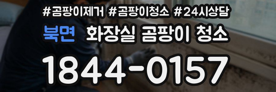 북면 화장실 곰팡이 청소