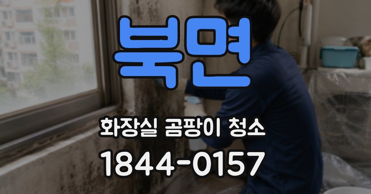 북면 화장실 곰팡이 청소