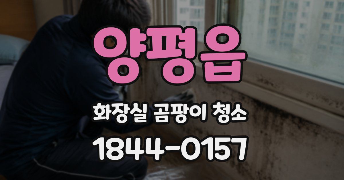 양평읍 화장실 곰팡이 청소